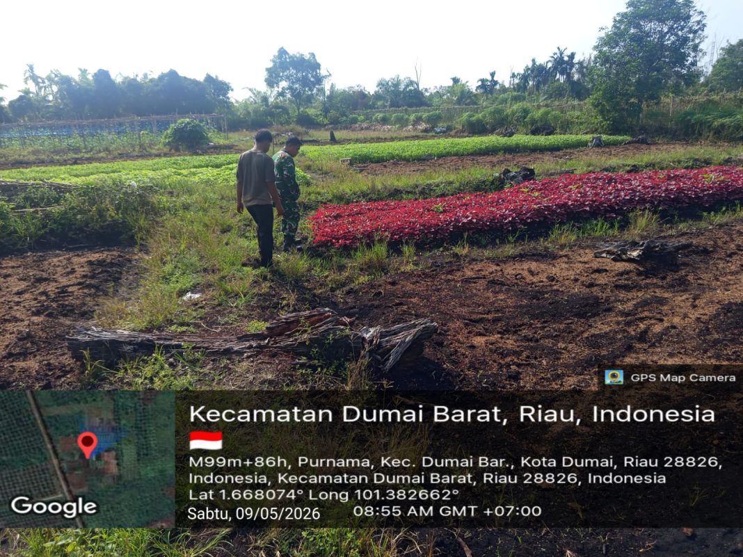 IMG-20260513-WA0133