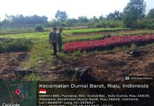 Babinsa Koramil 01/Dumai Gencarkan Patroli Karhutla dan Edukasi Lingkungan di Kelurahan Purnama