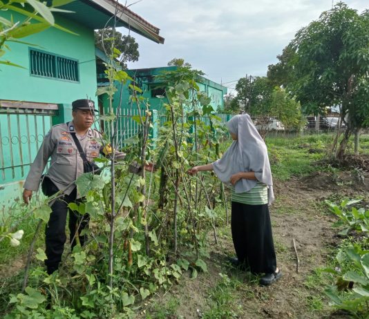 Bhabinkamtibmas Polsek Dumai Barat Cek Tanaman Gambas Kelompok Tani Dukung Ketahanan Pangan Nasional