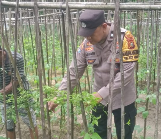 Bhabinkamtibmas Bukit Nenas Cek Pekarangan Pangan Bergizi, Dukung Ketahanan Pangan Nasional
