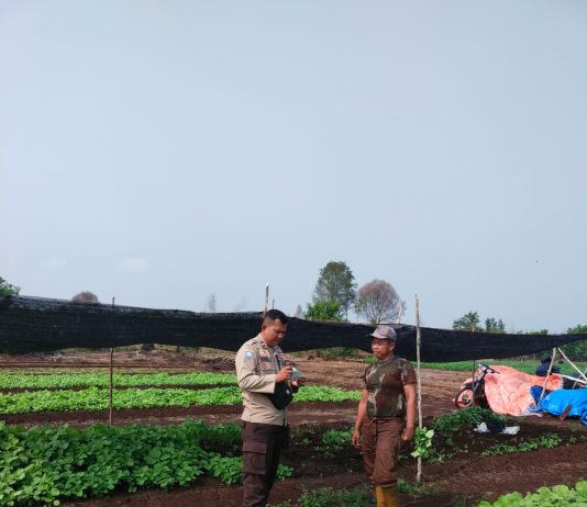 Bhabinkamtibmas Kelurahan Purnama Bersama Petani Cek Pekarangan Pangan Bergizi di Dumai Barat