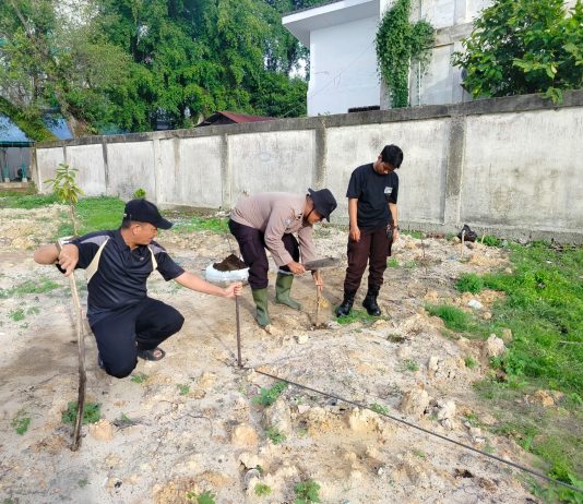Bhabinkamtibmas Buluh Kasap Bersama Poktan Sehat Idaman Lanjutkan Penanaman Jagung di Lahan Ketahanan Pangan