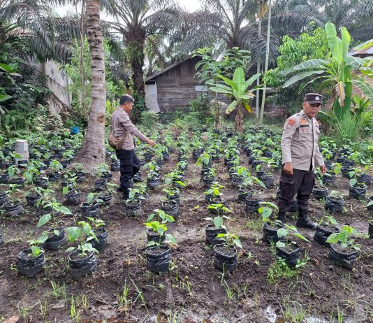 Bhabinkamtibmas Sungai Sembilan Bersama Petani Cek Pekarangan Pangan Bergizi Dukung Ketahanan Pangan Nasional