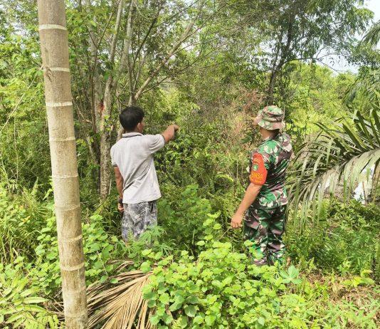 Babinsa Koramil 01/Dumai Patroli Karhutla Sambil Dampingi Petani Kacang Panjang di Bukit Datuk