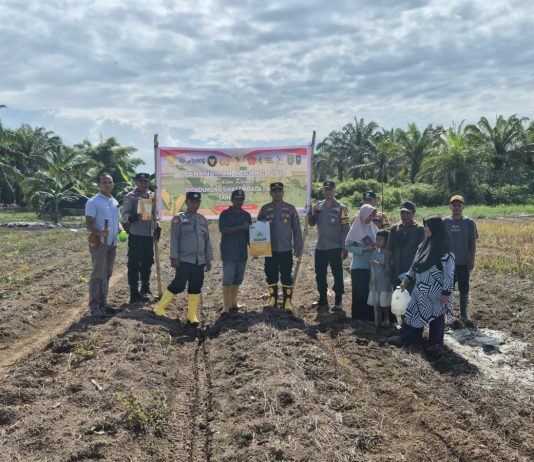 Polsek Sungai Sembilan Laksanakan Penanaman Jagung Pipil 4 Hektar Dukung Ketahanan Pangan Nasional 2026