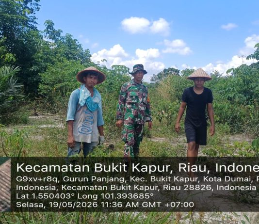 Babinsa Gurun Panjang Gencarkan Patroli Karhutla dan Edukasi Warga di Bukit Kapur