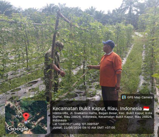 Gotong Royong TNI dan Warga Kebut Pembangunan Jembatan Gantung Garuda di Sungai Sembilan