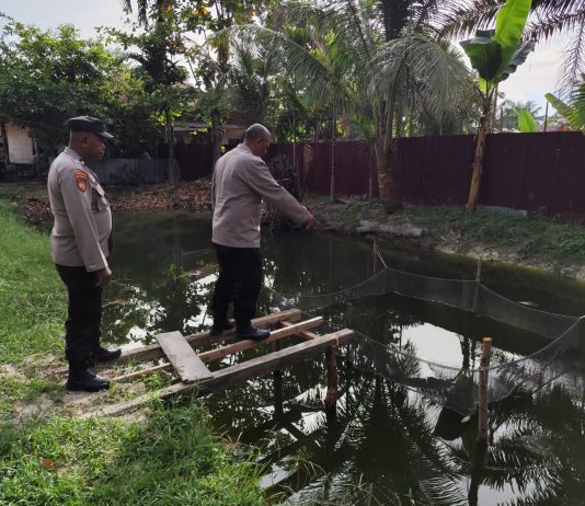 Polisi Cinta Petani, Polsek Dumai Timur Monitoring Pekarangan Pangan Bergizi Budidaya Lele dan Patin