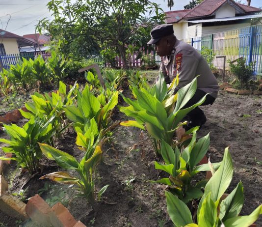 Polisi Cinta Petani, Polsek Dumai Timur Cek Pekarangan Pangan Bergizi Milik Bhayangkari