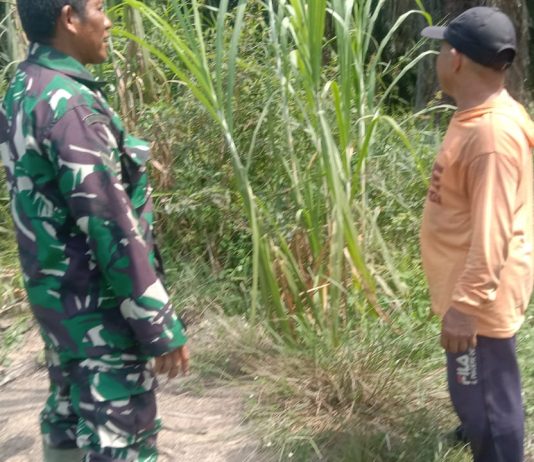 Koramil 03/Sungai Sembilan Intensifkan Patroli Karhutla di Wilayah Rawan Kebakaran