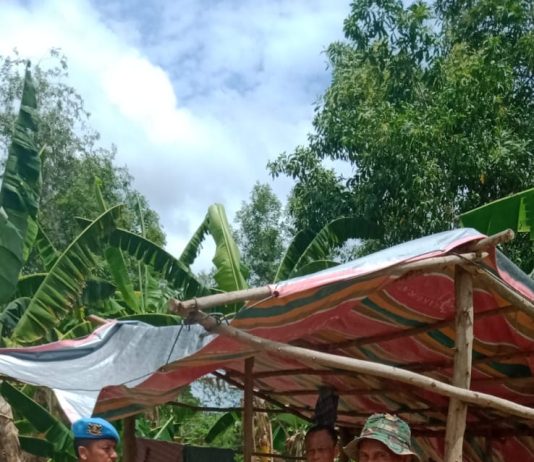 Polsek Kawasan Pelabuhan Dumai Kembangkan Hidroponik untuk Dukung Ketahanan Pangan Nasional