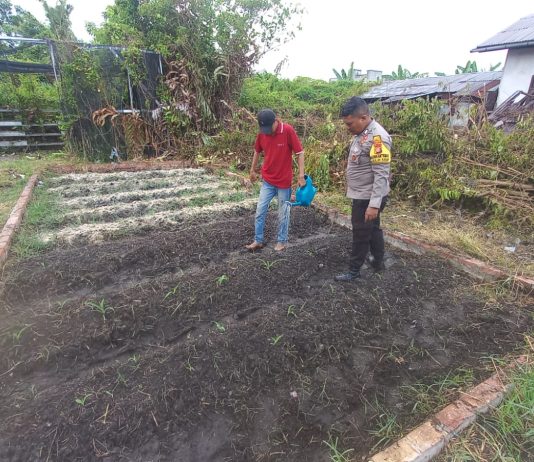 Bhabinkamtibmas Kelurahan Buluh Kasap Cek Pekarangan Pangan Bergizi, Dukung Ketahanan Pangan Nasional