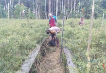 Bhabinkamtibmas Polsek Sungai Sembilan Bersama Petani Cek Pekarangan Pangan Bergizi Dukung Ketahanan Pangan Nasional