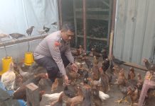 Polsek Dumai Timur Bersama Petani Cek Pekarangan Pangan Bergizi Dukung Ketahanan Pangan Nasional
