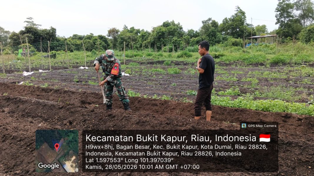 IMG-20260528-WA0301