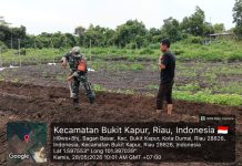 Babinsa Tanjung Penyembal Intensifkan Patroli dan Sosialisasi Cegah Karhutla di Sungai Sembilan