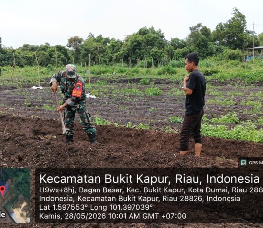 Babinsa Tanjung Penyembal Intensifkan Patroli dan Sosialisasi Cegah Karhutla di Sungai Sembilan