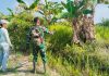 Babinsa Bagan Besar Dampingi Warga Olah Lahan Tanam Kacang Panjang untuk Perkuat Ketahanan Pangan