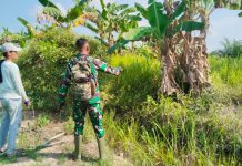 Babinsa Bagan Besar Dampingi Warga Olah Lahan Tanam Kacang Panjang untuk Perkuat Ketahanan Pangan