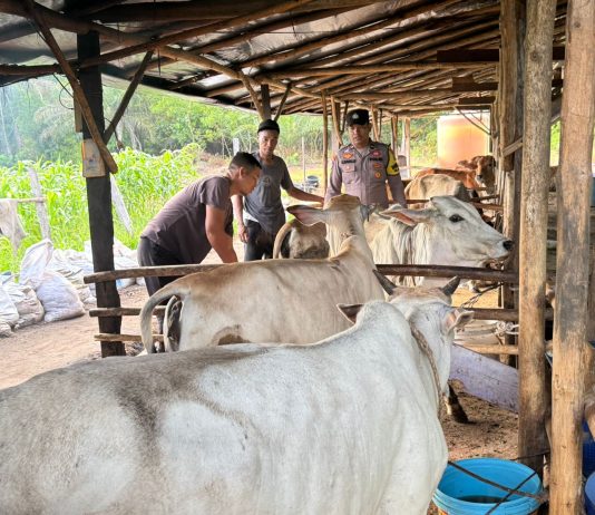 Bhabinkamtibmas Mekar Sari Polsek Dumai Barat Bersama Peternak Cek Pekarangan Pangan Bergizi Dukung Ketahanan Pangan Nasional