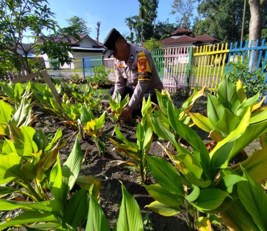 Bhabinkamtibmas Bukit Batrem Polsek Dumai Timur Bersama Petani Cek Pekarangan Pangan Bergizi Dukung Ketahanan Pangan Nasional