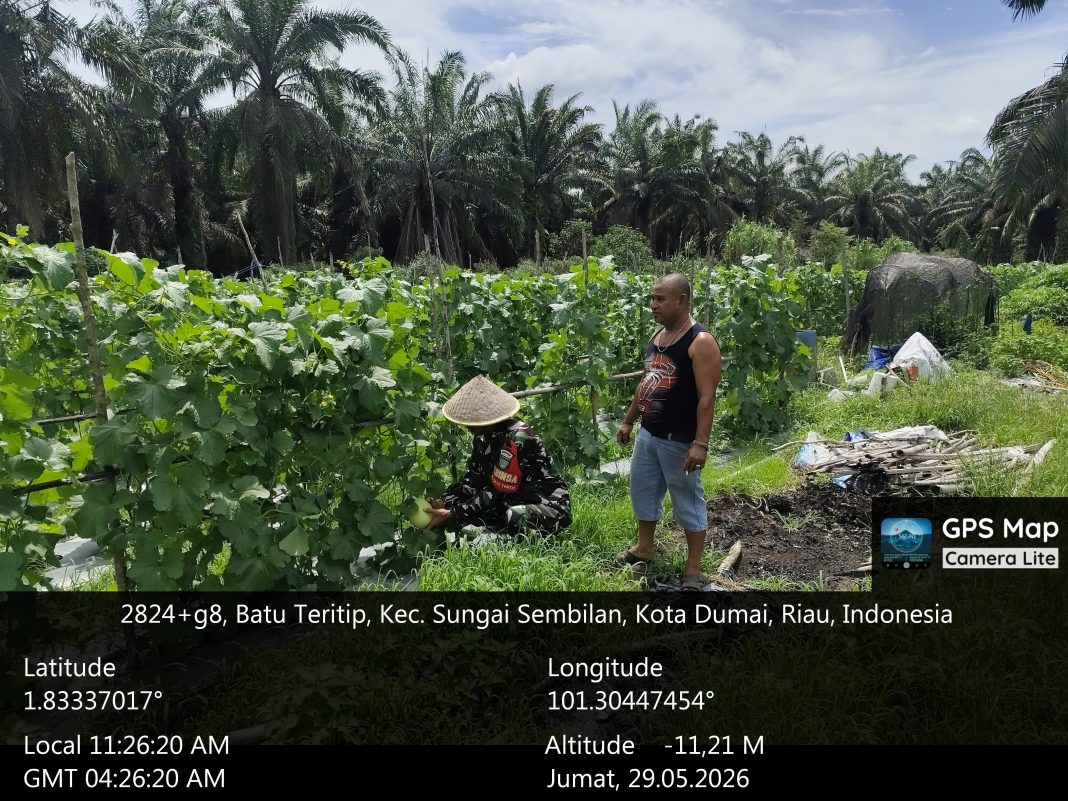 IMG-20260529-WA0140(1)