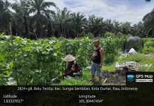 Babinsa Batu Teritip Dampingi Warga Kelola Kebun Melon Sekaligus Sosialisasikan Pencegahan Karhutla di Sungai Sembilan