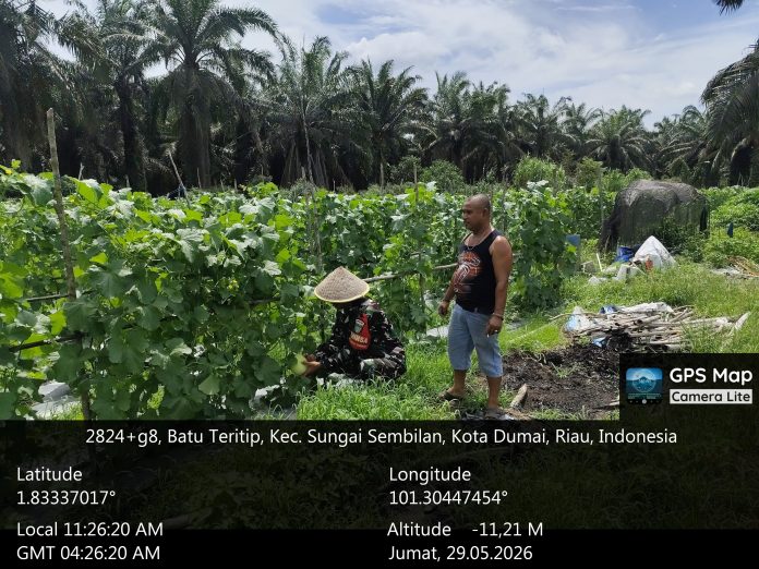 IMG-20260529-WA0140(1)