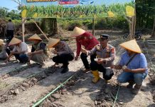 POLRES DUMAI MELAKSANAKAN KEGIATAN PENANAMAN JAGUNG KUARTAL II DI WILAYAH MEDANG KAMPAI