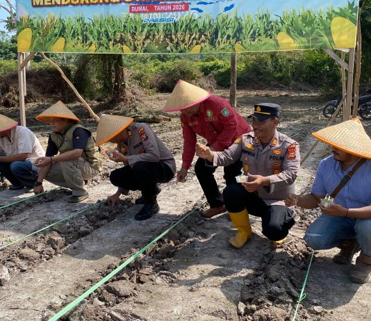 POLRES DUMAI MELAKSANAKAN KEGIATAN PENANAMAN JAGUNG KUARTAL II DI WILAYAH MEDANG KAMPAI