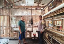 Bhabinkamtibmas Polsek Dumai Selatan Bersama Peternak Cek Pekarangan Pangan Bergizi, Dukung Program Ketahanan Pangan Nasional di Kota Dumai