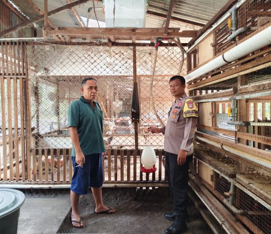 Bhabinkamtibmas Polsek Dumai Selatan Bersama Peternak Cek Pekarangan Pangan Bergizi, Dukung Program Ketahanan Pangan Nasional di Kota Dumai