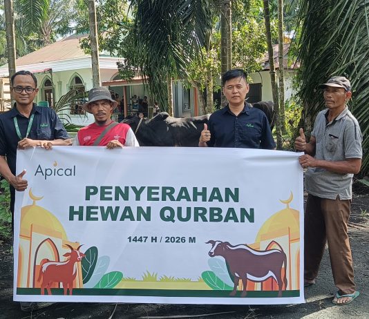 Sambut Iduladha 1447 H, Apical Dumai Salurkan Empat Ekor Sapi Kurban untuk Masyarakat