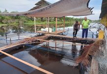 Bhabinkamtibmas Bukit Datuk Cek Kolam Lele Warga, Dukung Program Ketahanan Pangan Nasional
