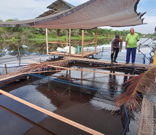 Bhabinkamtibmas Bukit Datuk Cek Kolam Lele Warga, Dukung Program Ketahanan Pangan Nasional
