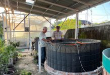 Bhabinkamtibmas Pangkalan Sesai Cek Budidaya Ikan Nila dan Gurami, Dukung Program Ketahanan Pangan Nasional