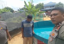 Bhabinkamtibmas Jaya Mukti Tinjau Budidaya Lele dan Nila, Perkuat Ketahanan Pangan Nasional