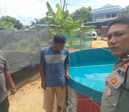 Bhabinkamtibmas Jaya Mukti Tinjau Budidaya Lele dan Nila, Perkuat Ketahanan Pangan Nasional