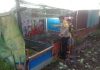 Bhabinkamtibmas Buluh Kasap Cek Budidaya Ikan Lele dan Nila, Dukung Ketahanan Pangan Nasional di Dumai Timur