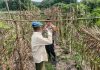 Bhabinkamtibmas Bagan Besar Cek Pekarangan Pangan Bergizi, Dukung Ketahanan Pangan Nasional di Bukit Kapur