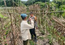 Bhabinkamtibmas Bagan Besar Cek Pekarangan Pangan Bergizi, Dukung Ketahanan Pangan Nasional di Bukit Kapur