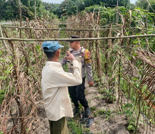 Bhabinkamtibmas Bagan Besar Cek Pekarangan Pangan Bergizi, Dukung Ketahanan Pangan Nasional di Bukit Kapur