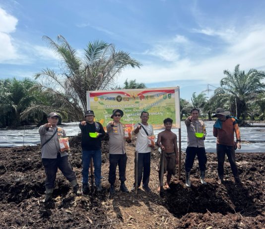 Polsek Sungai Sembilan Polres Dumai Tanam Jagung Pipil di Lahan 2 Hektare untuk Dukung Ketahanan Pangan Nasional 2026