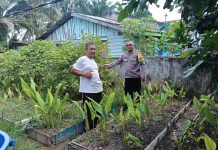 Perkuat Ketahanan Pangan Nasional, Bhabinkamtibmas Teluk Binjai Aktif Dampingi Petani