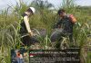 Koramil 02/Bukit Kapur dan PT Pertamina Hulu Rokan Perkuat Pengamanan Jalur Pipa Minyak Melalui Patroli Terpadu