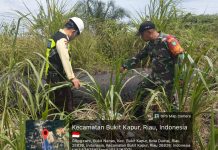 Koramil 02/Bukit Kapur dan PT Pertamina Hulu Rokan Perkuat Pengamanan Jalur Pipa Minyak Melalui Patroli Terpadu