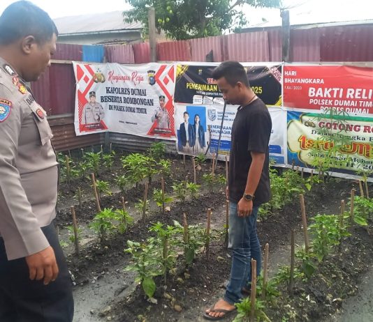 Bhabinkamtibmas Buluh Kasap AIPDA Rahmaddany Cek Pekarangan Cabai Rawit, Dukung Ketahanan Pangan Nasional