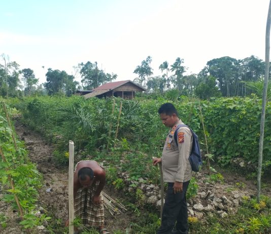 Polsek Sungai Sembilan Cek Pekarangan Pangan Bergizi di Batu Teritip, Dukung Ketahanan Pangan Nasional