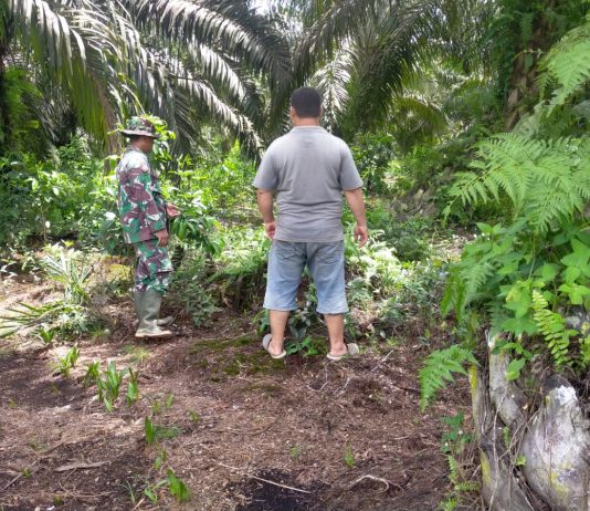 Cegah Karhutla Sejak Dini, Babinsa Bangsal Aceh Intensifkan Patroli Wilayah Rawan