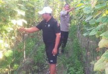 Bhabinkamtibmas Polsek Bukit Kapur Cek Pekarangan Pangan Bergizi, Dukung Ketahanan Pangan Nasional
